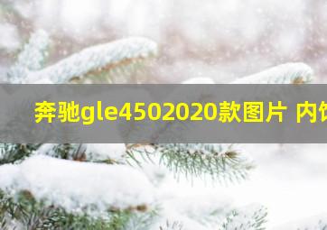 奔驰gle4502020款图片 内饰